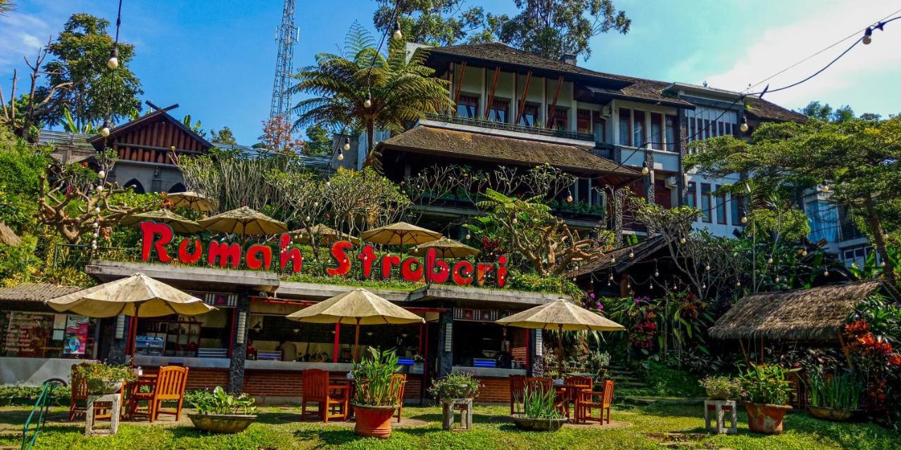Rumah Stroberi Organic Farm & Family Lodge Lembang Dış mekan fotoğraf